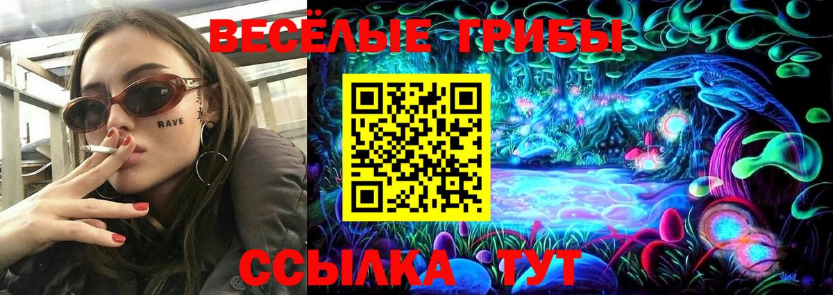 Галлюциногенные грибы ЛСД Георгиевск