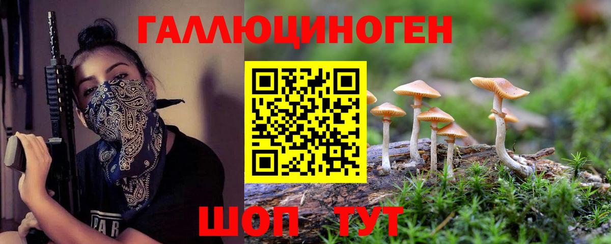 Псилоцибиновые грибы мицелий  Галлюциногенные грибы мухоморы  купить наркотик  Георгиевск  Вход с VPN 
