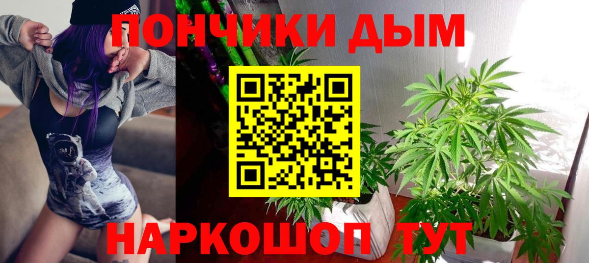 Бошки Шишки семена Георгиевск
